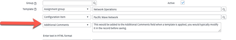 screenshot of additional comments in template