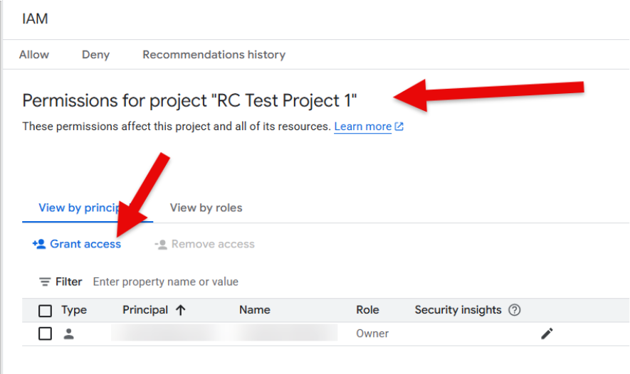 Screenshot showing the project and the grant access button