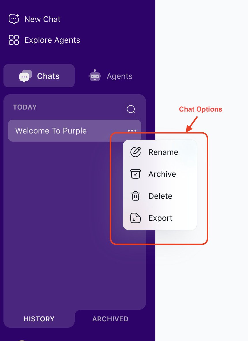 chat-options.png