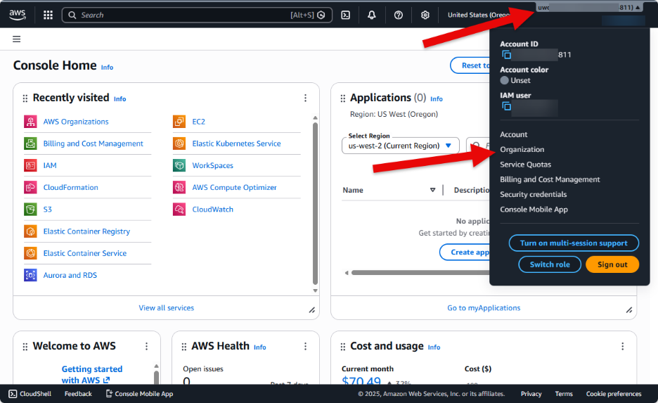 Screenshot showing the organization tab in the account drop down